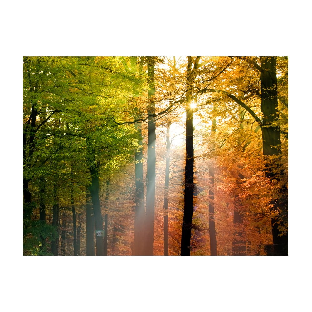 Veľkoformátová tapeta Artgeist Beautiful Autumn 400 x 309 cm