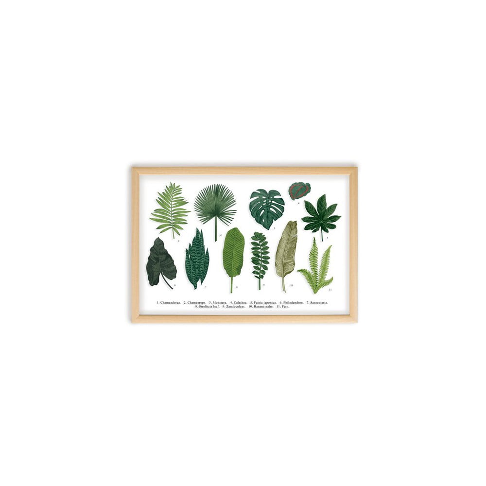 Obraz Surdic Leafes Guide 50 × 70 cm