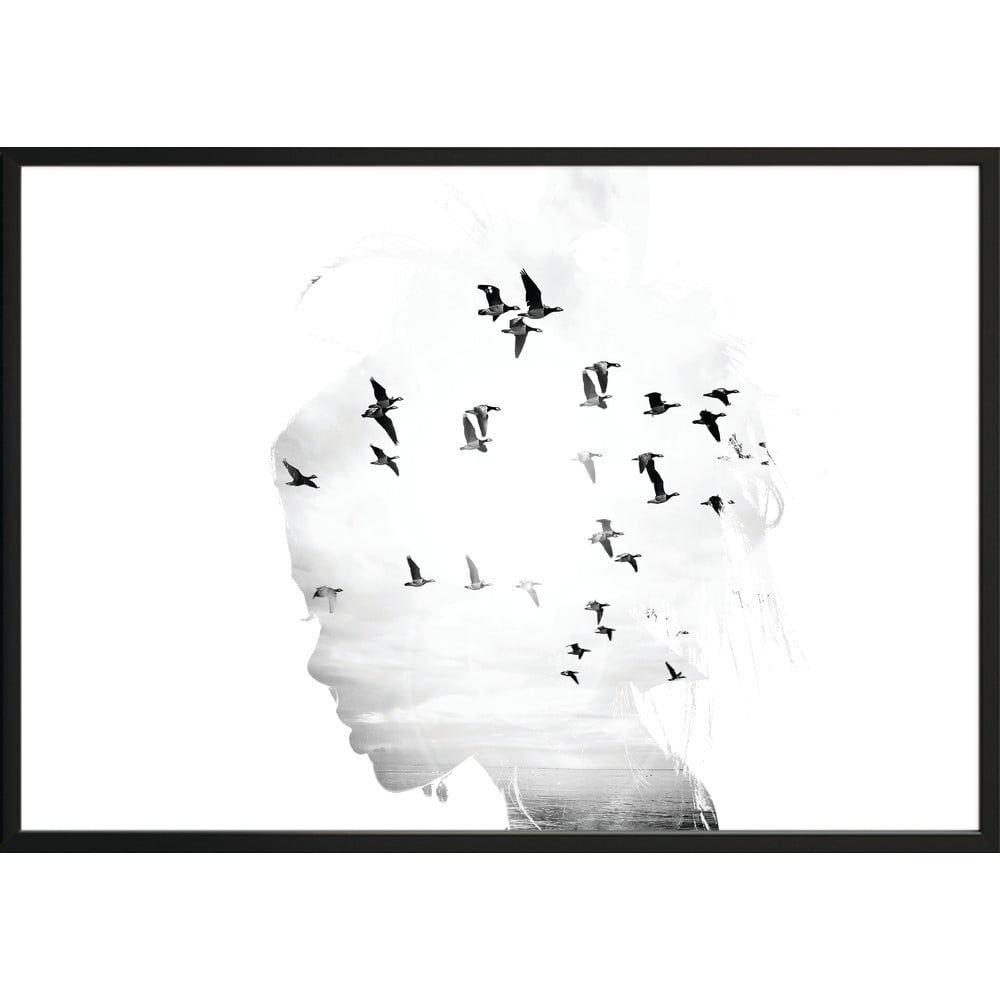 Nástenný plagát v ráme GIRLSILHOUETTE  BIRDS 50 x 70 cm